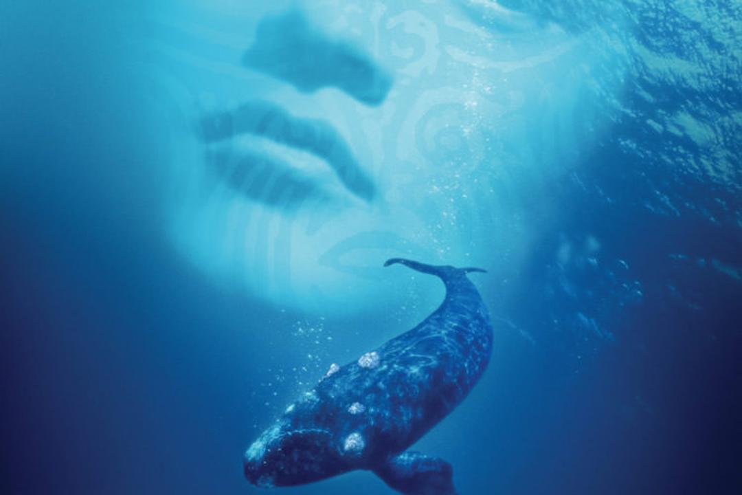 فیلم Whale Rider