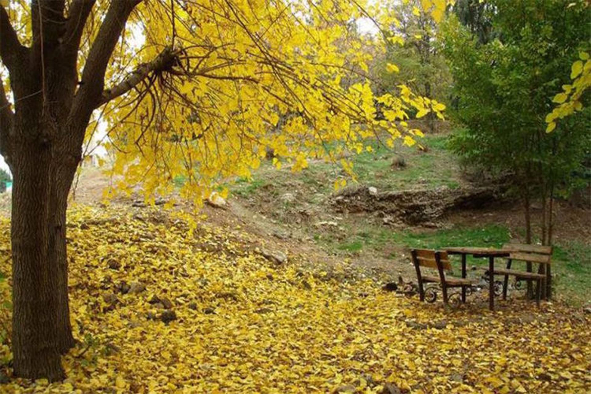 میز ونیمکت چوبی پارک ملی سرخه حصار در پاییز