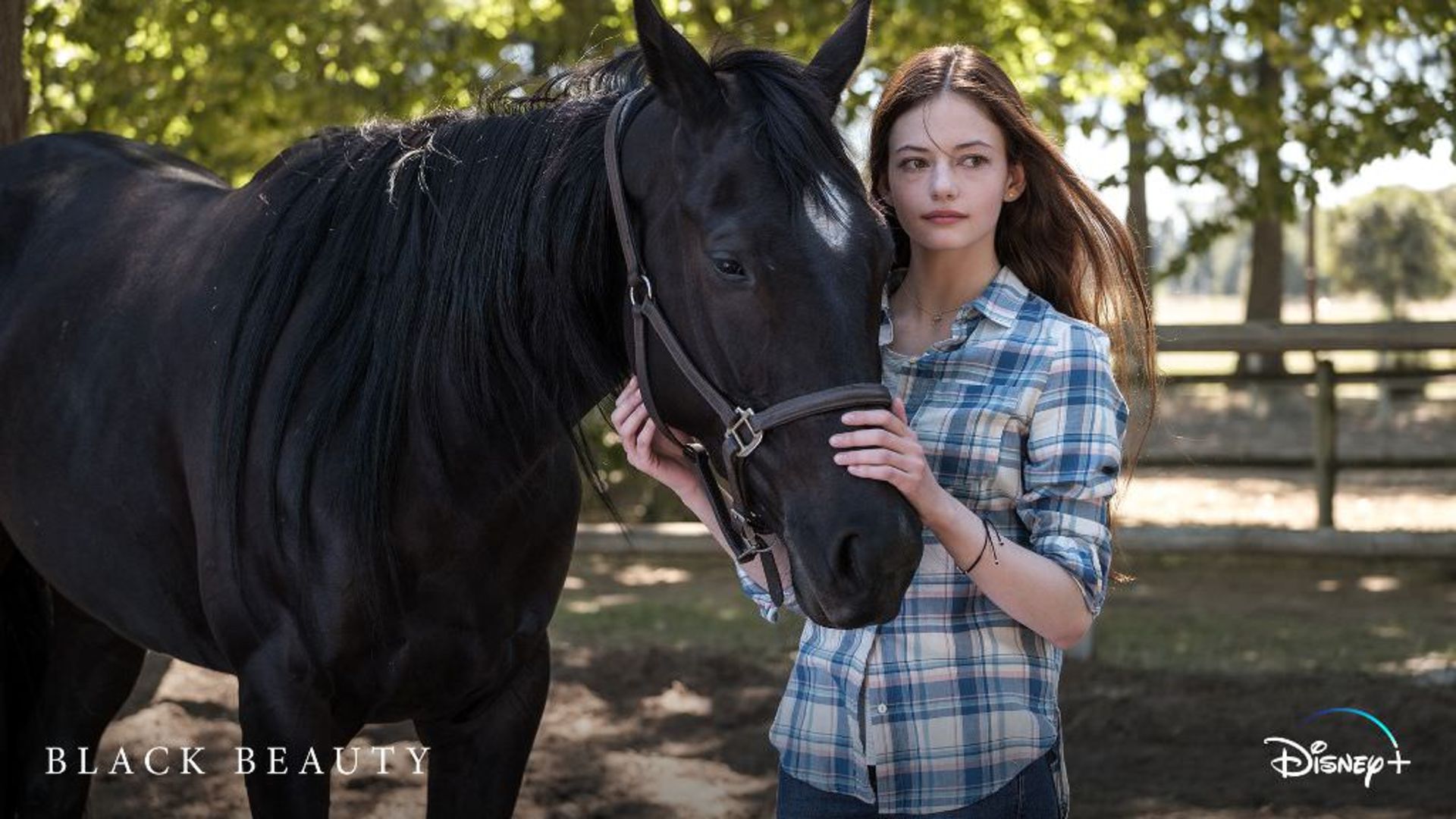 مک کنزی فوی و اسب زیبای سیاه در فیلم Black Beauty