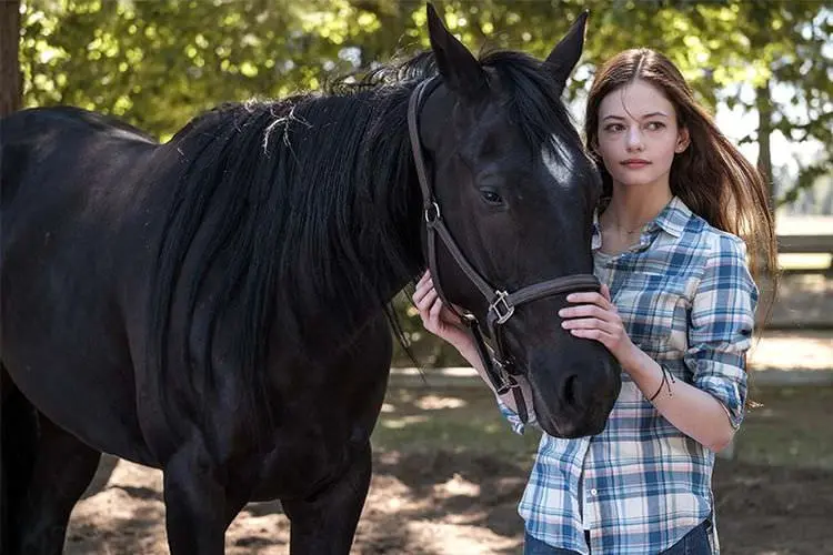 فیلم Black Beauty