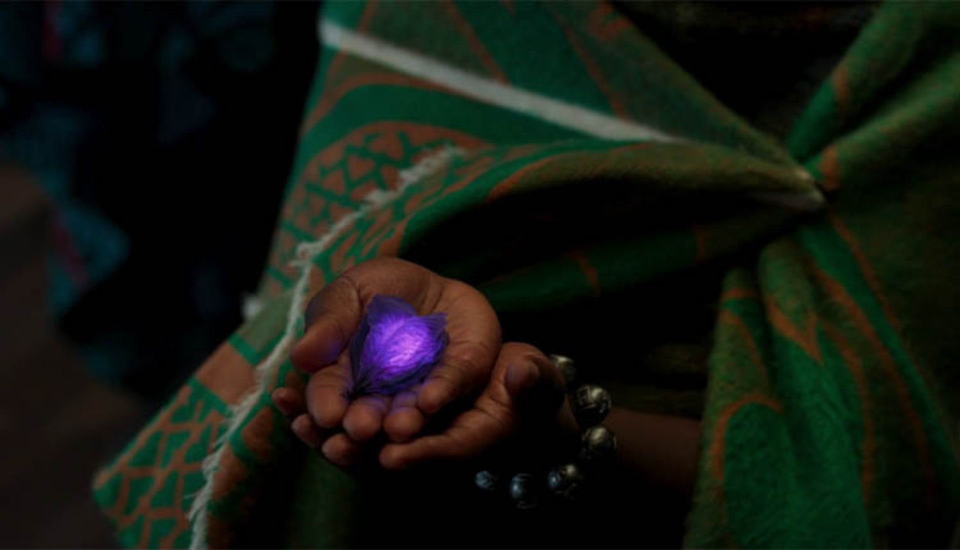 گیاه جادویی فیلم Black Panther در دست یکی از شخصیت‌های فیلم