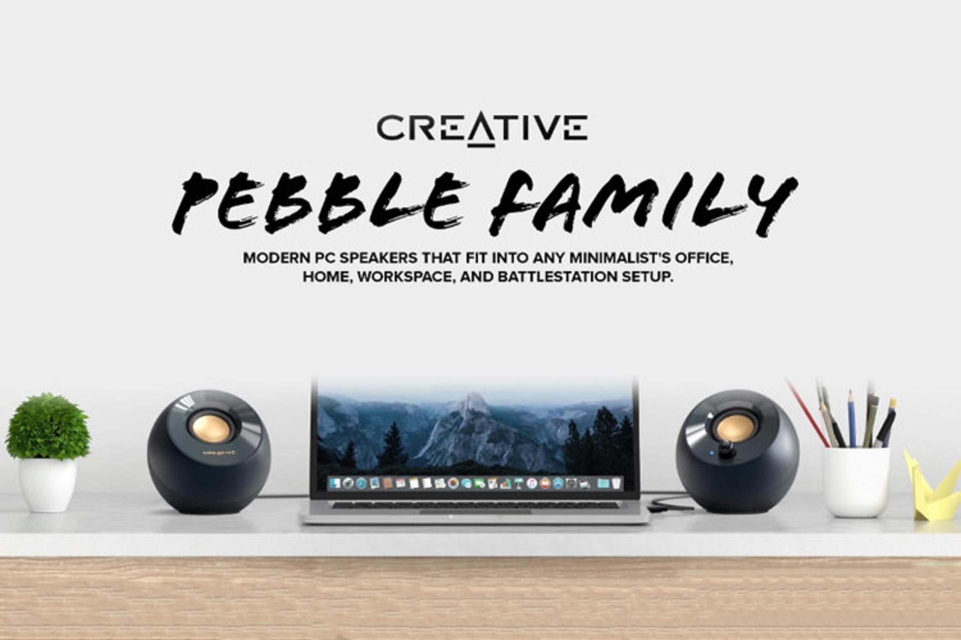 Creative Pebble Family