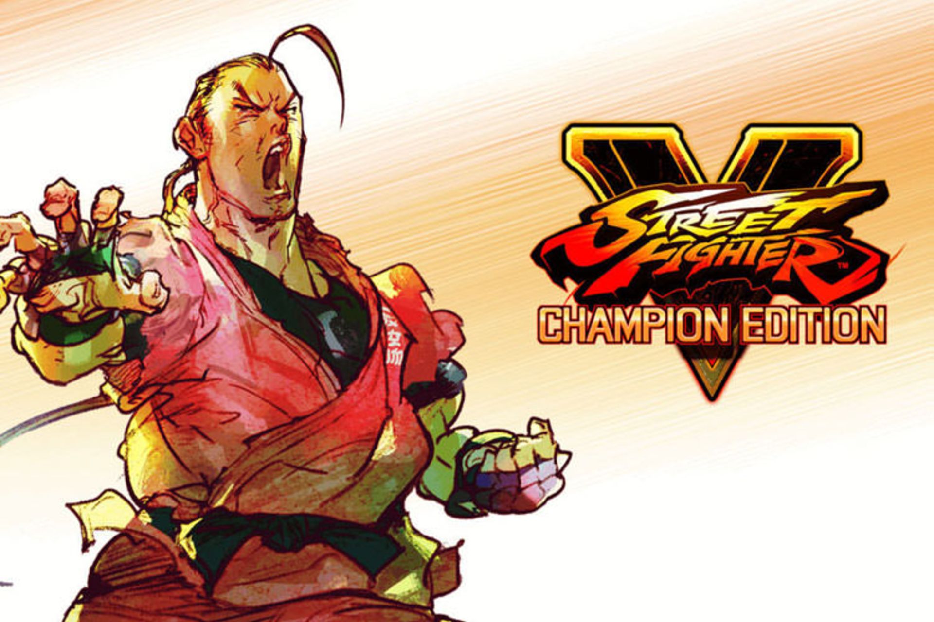 کاراکتر دن در بازی Street Fighter V