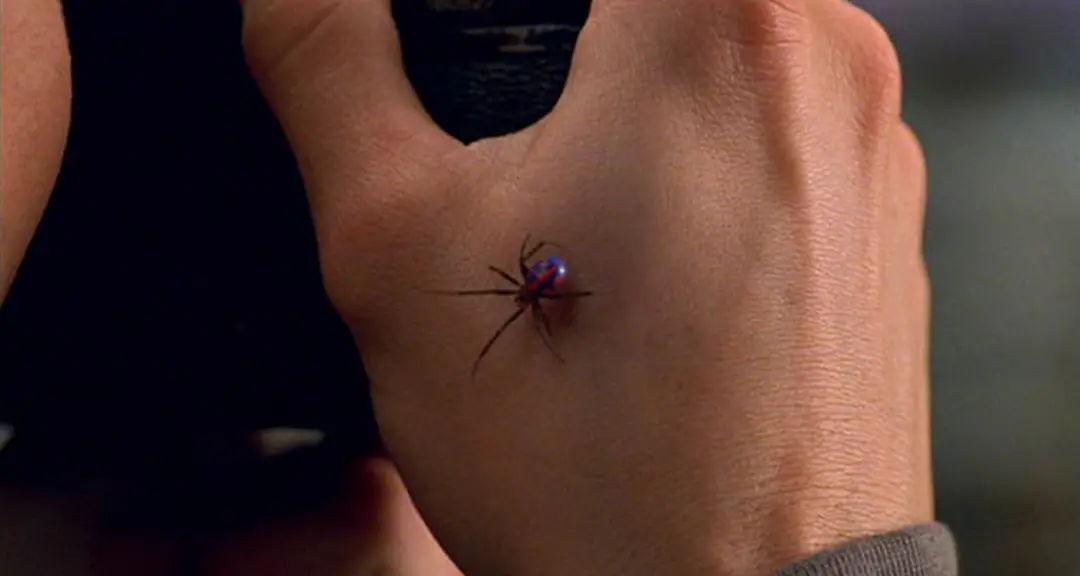 گریم عنکبوت انتخاب‌شده در  سه‌گانه spider-man
