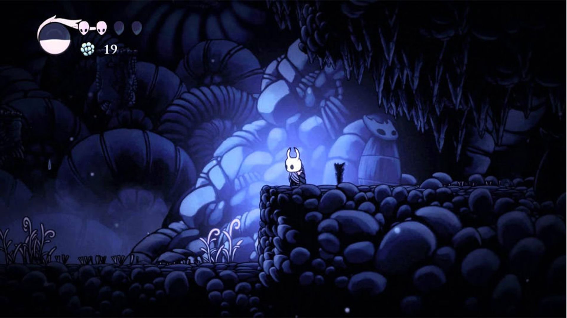 شوالیه شخصیت اصلی Hollow Knight