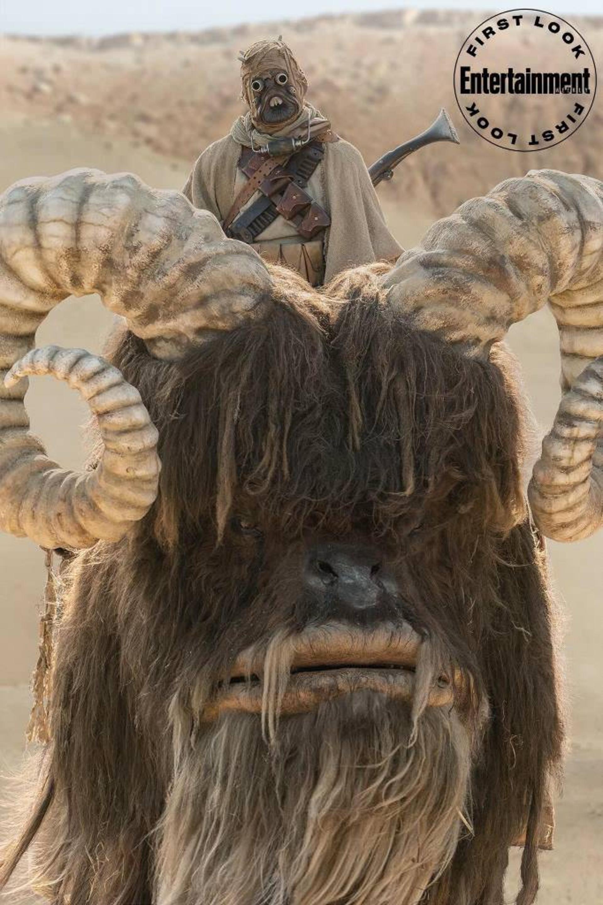 Tusken Raider در فصل دوم سریال The Mandalorian