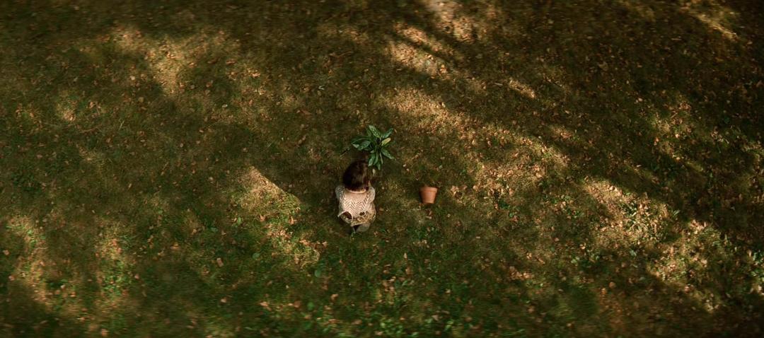 سکانس پایانی فیلم leon: the professional ماتیلدا درحال کاشتن گیاه لئون در زمین