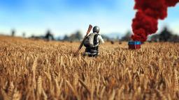 دنباله ی pubg در دست توسعه