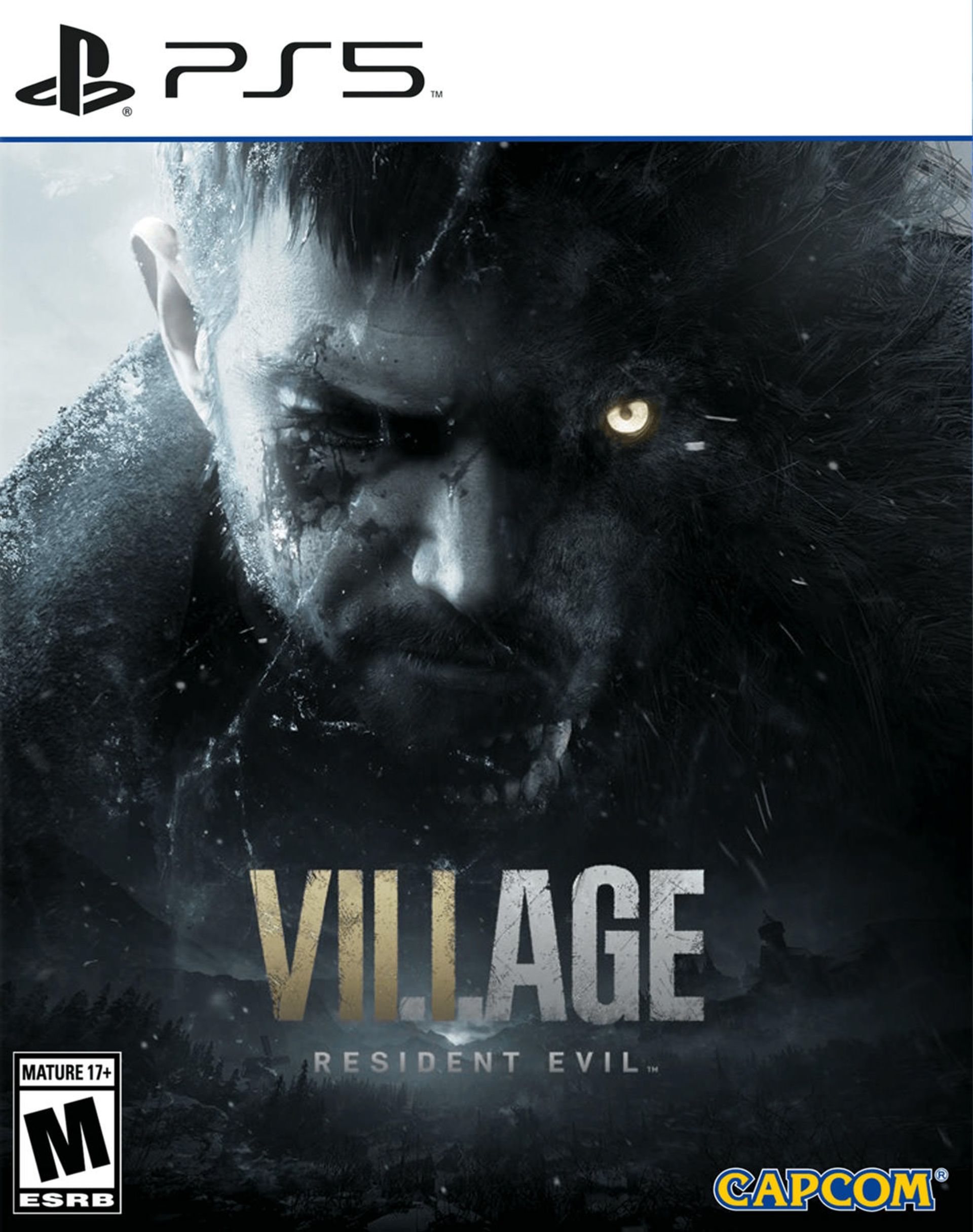 باکس آرت Resident Evil Village
