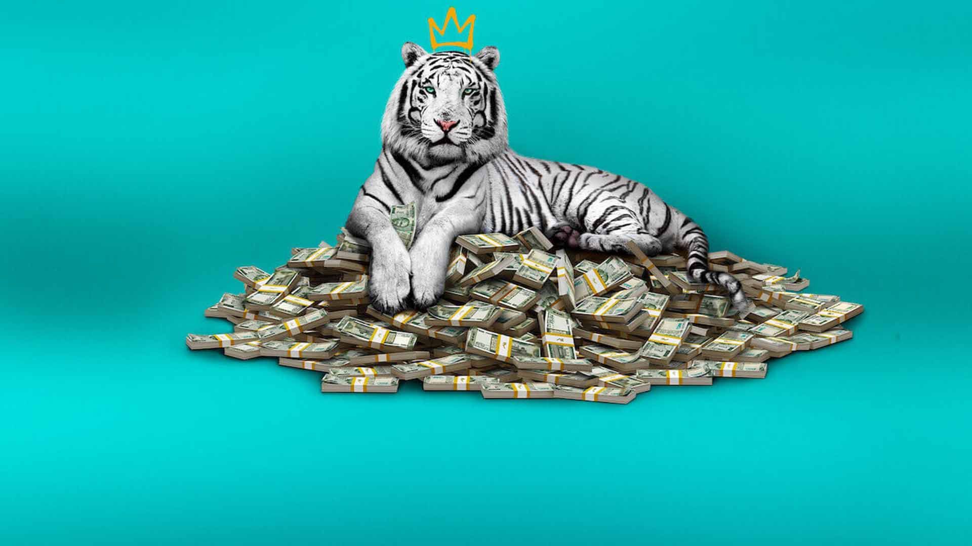 ببر سفیدی بر روی تپه‌ای از اسکناس پوستر فیلم The White Tiger