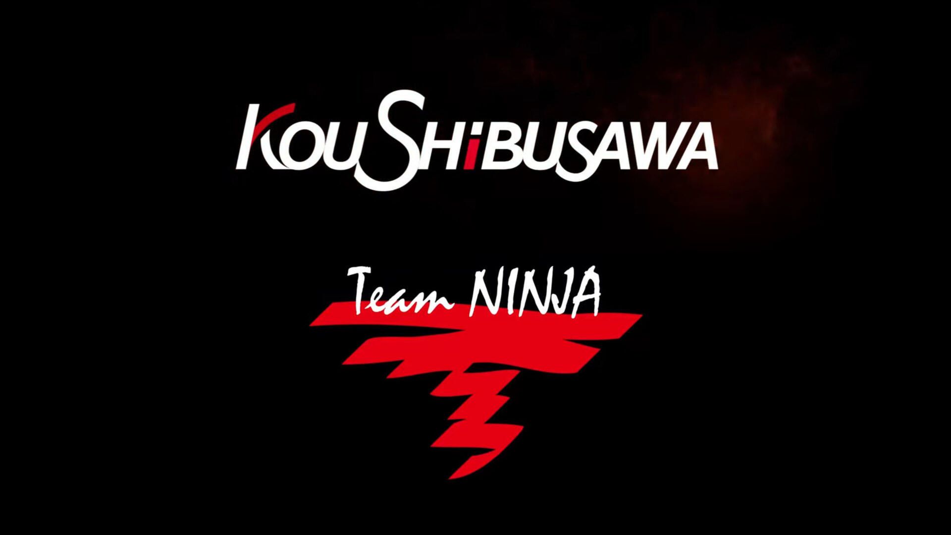 لوگو استودیو Kou Shibusawa و استودیو Team Ninja