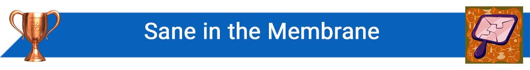 تروفی Sane in the Membrane