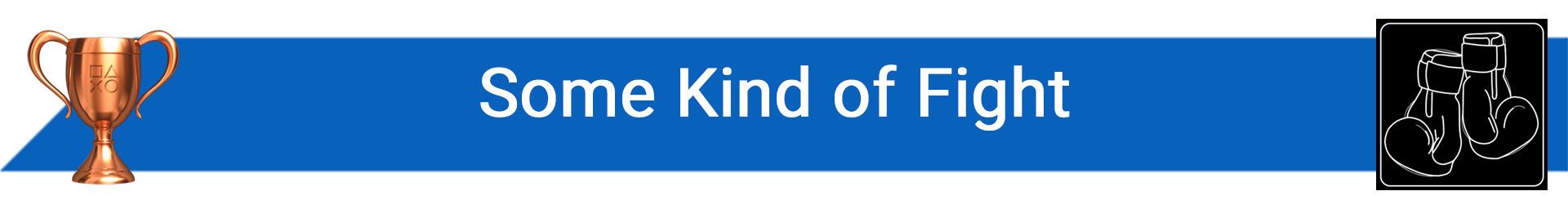 تروفی Some Kind of Fight