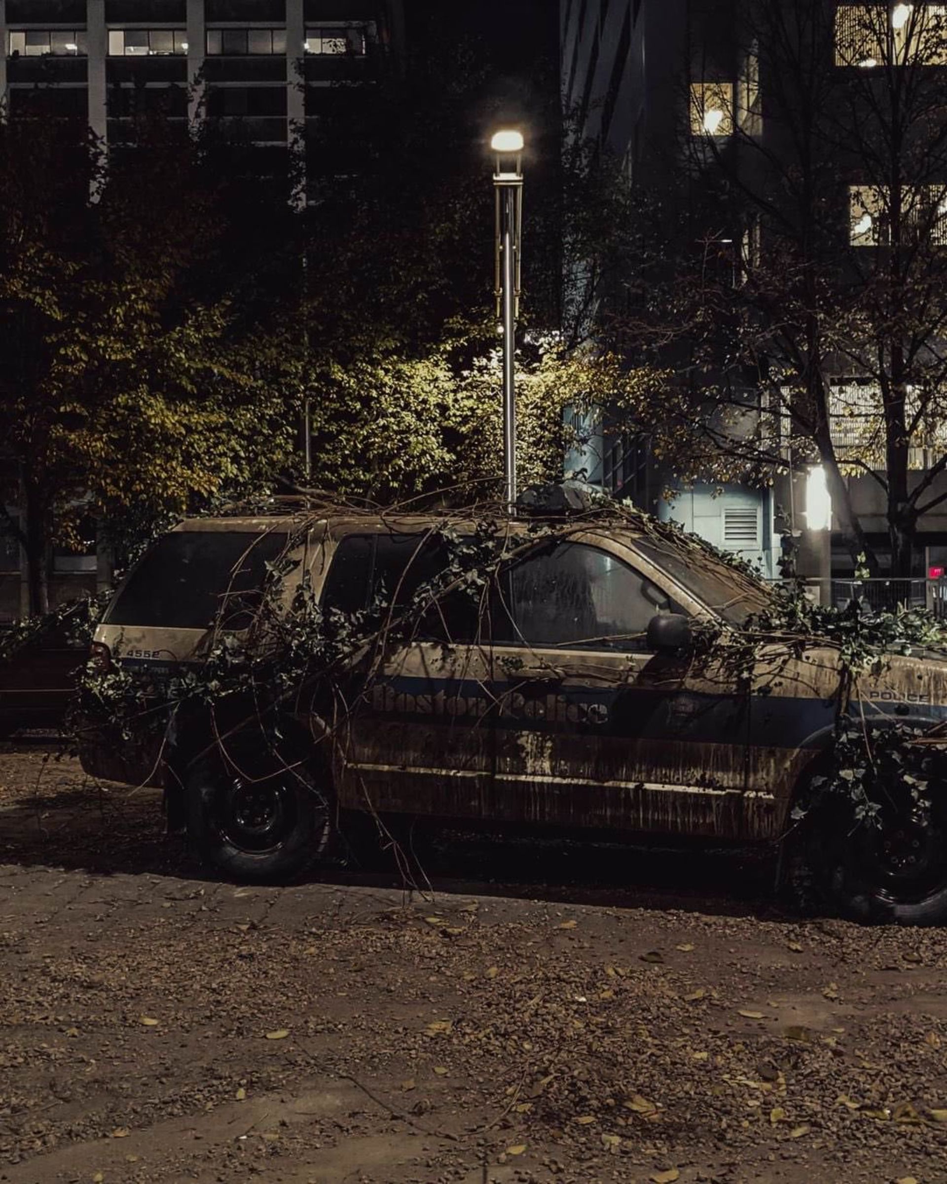 تصاویر پشت صحنه فیلمبرداری سریال The Last of Us