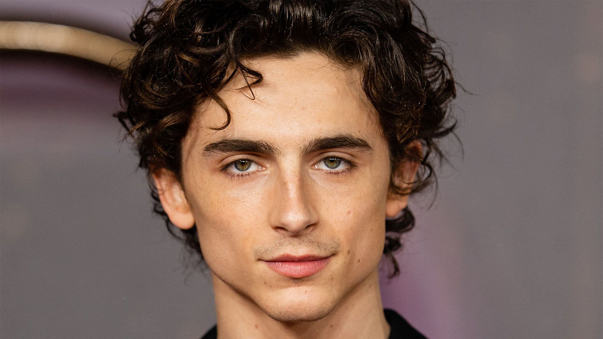 Timothée Chalamet (تیموتی شالامی)