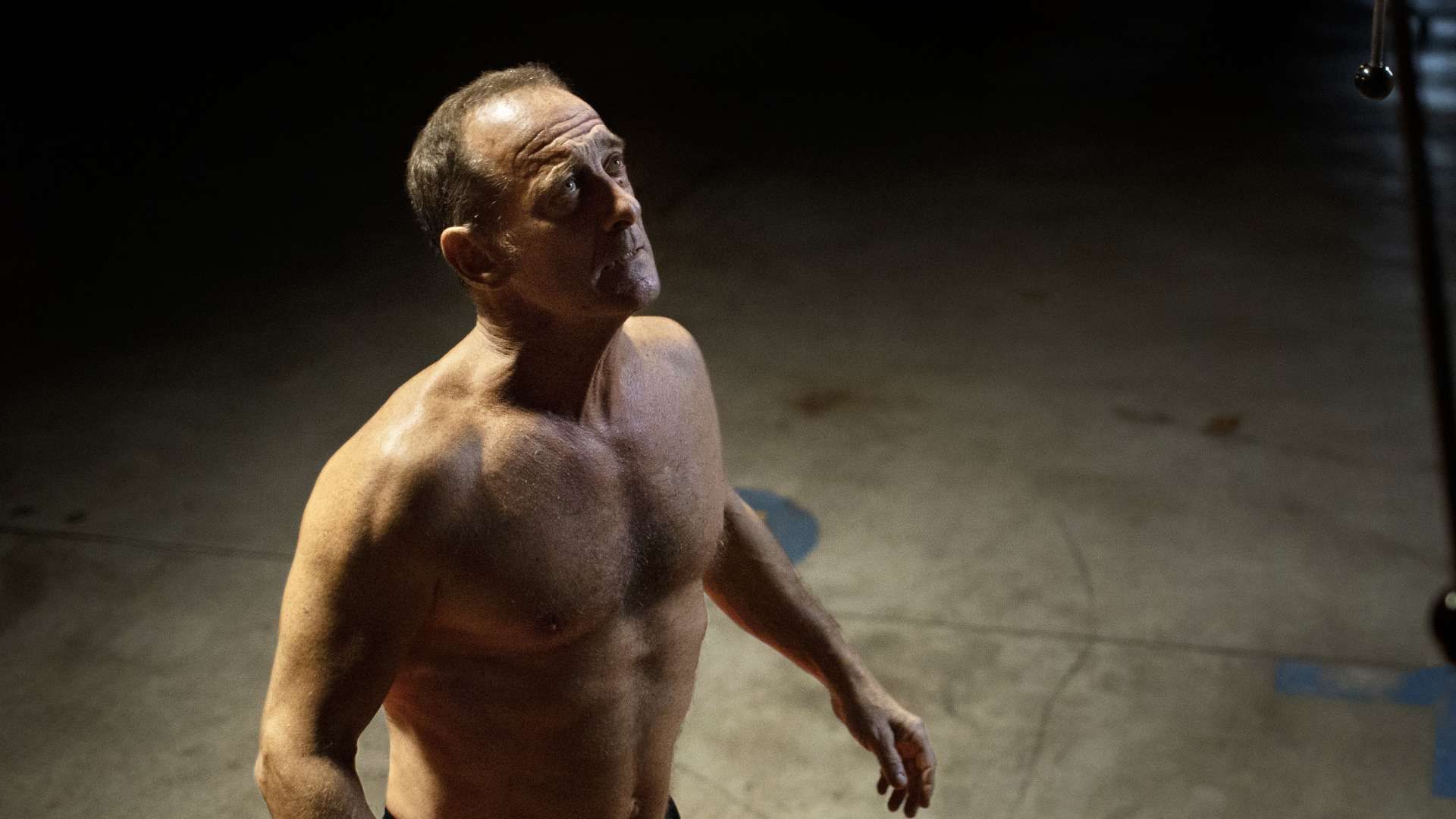2021-10-titane-vincent-lindon