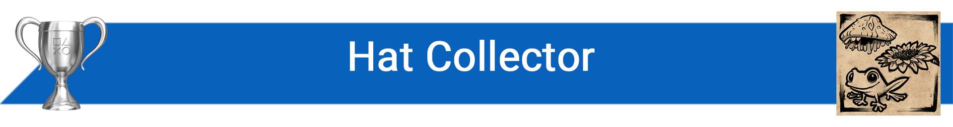 تروفی Hat Collector