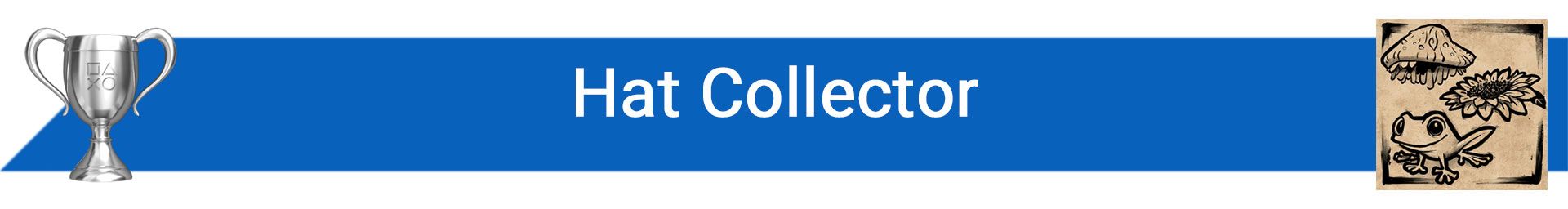 تروفی Hat Collector