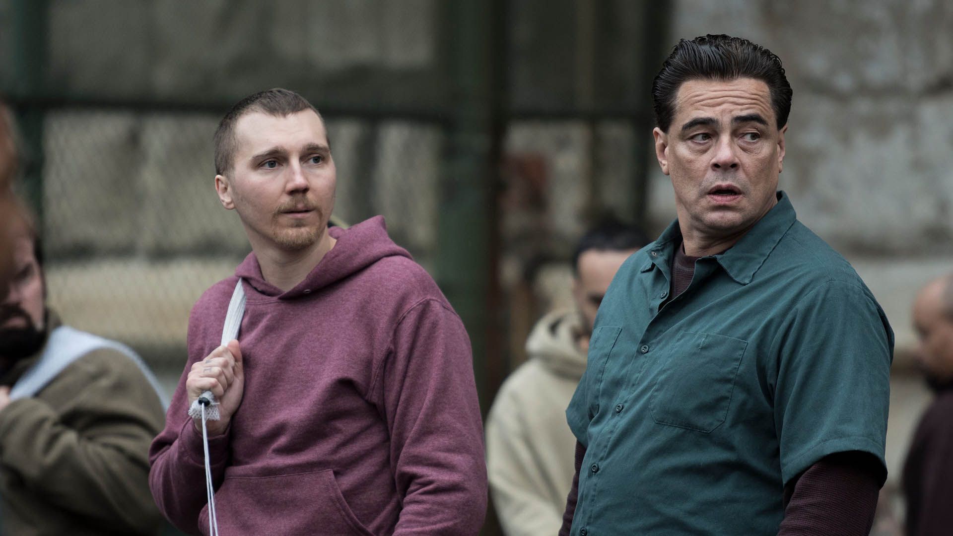 بنیسیو دل تورو و پال دانو در مینی سریال Escape at Dannemora