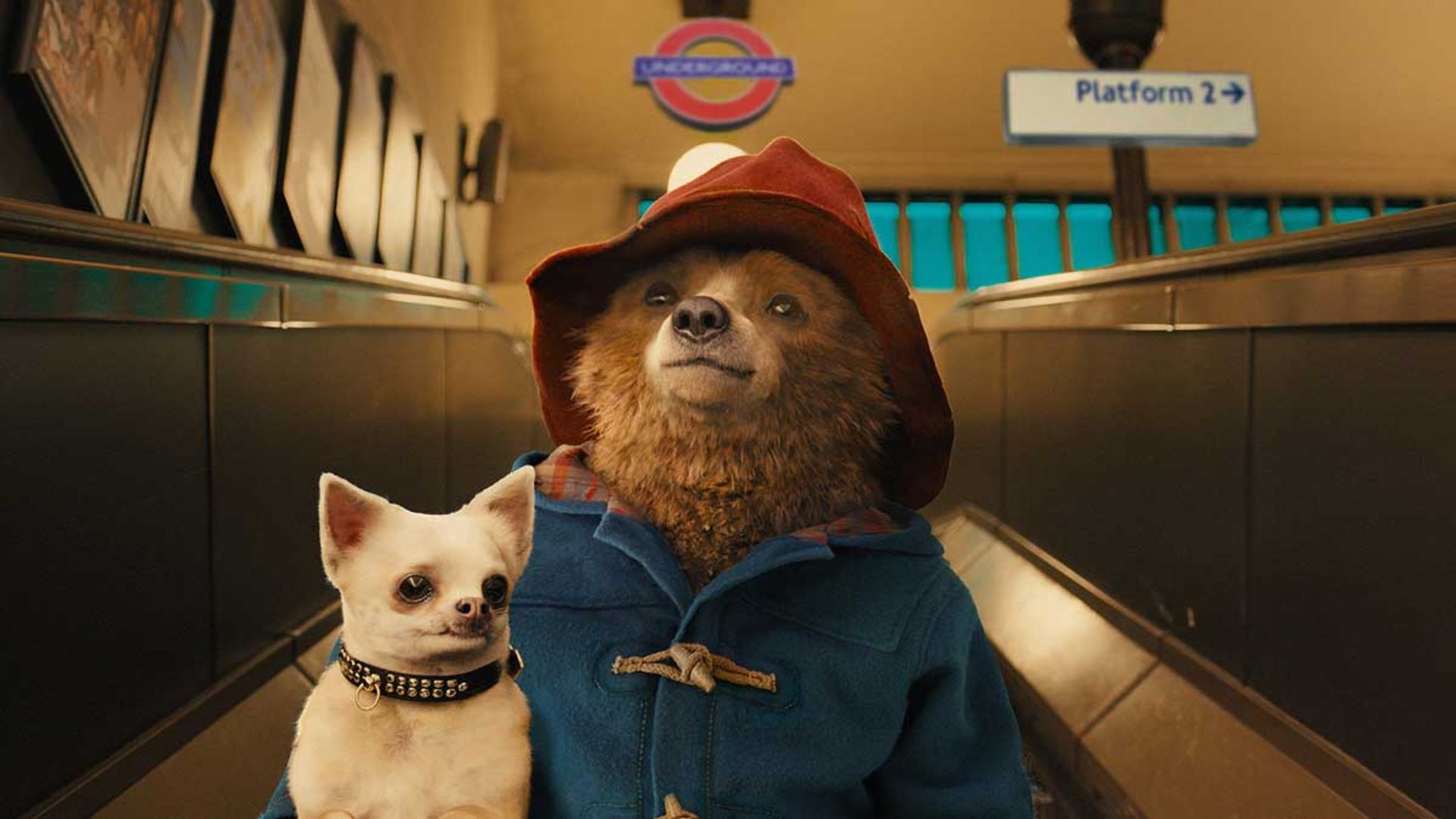 پدینگتون در مترو فیلم Paddington