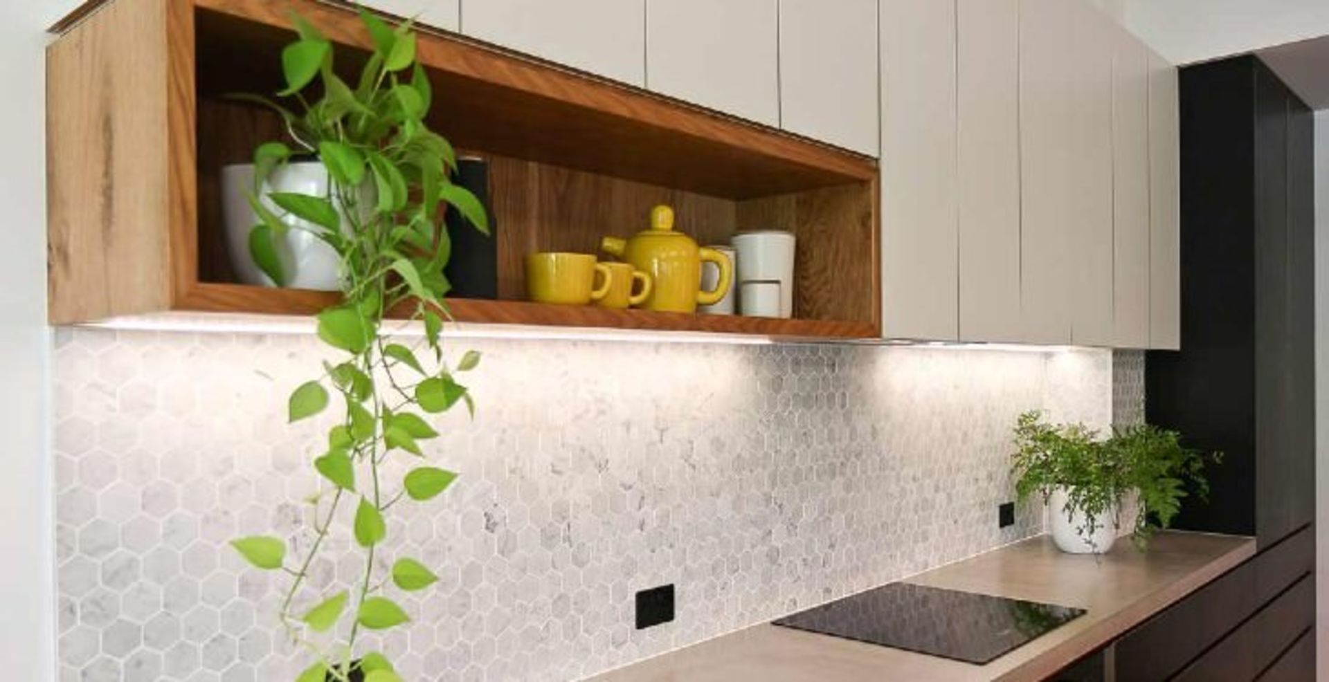 2021-12-use-of-appliances-that-do-not-harm-the-environment