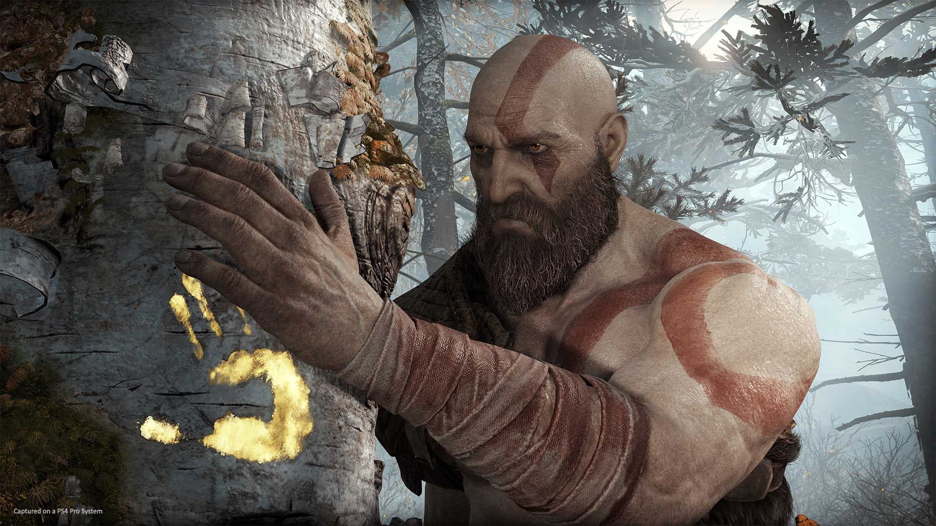 بازی God of War پلی استیشن 4 سونی و لمس شدن یک درخت توسط کریتوس