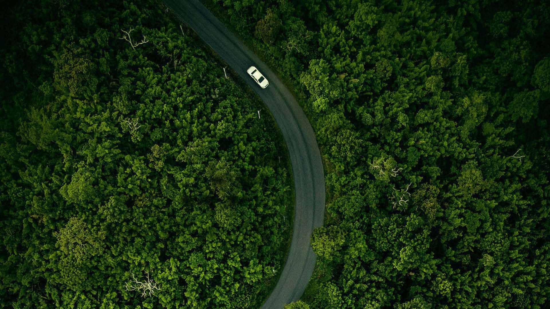 پوستر فیلم Hillbilly Elegy به کارگردانی ران هاوارد