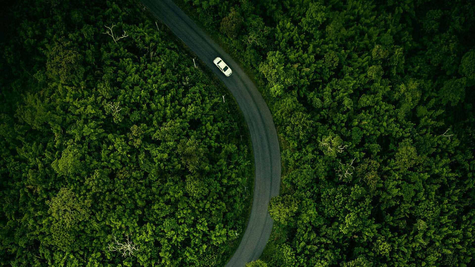 پوستر فیلم Hillbilly Elegy به کارگردانی ران هاوارد