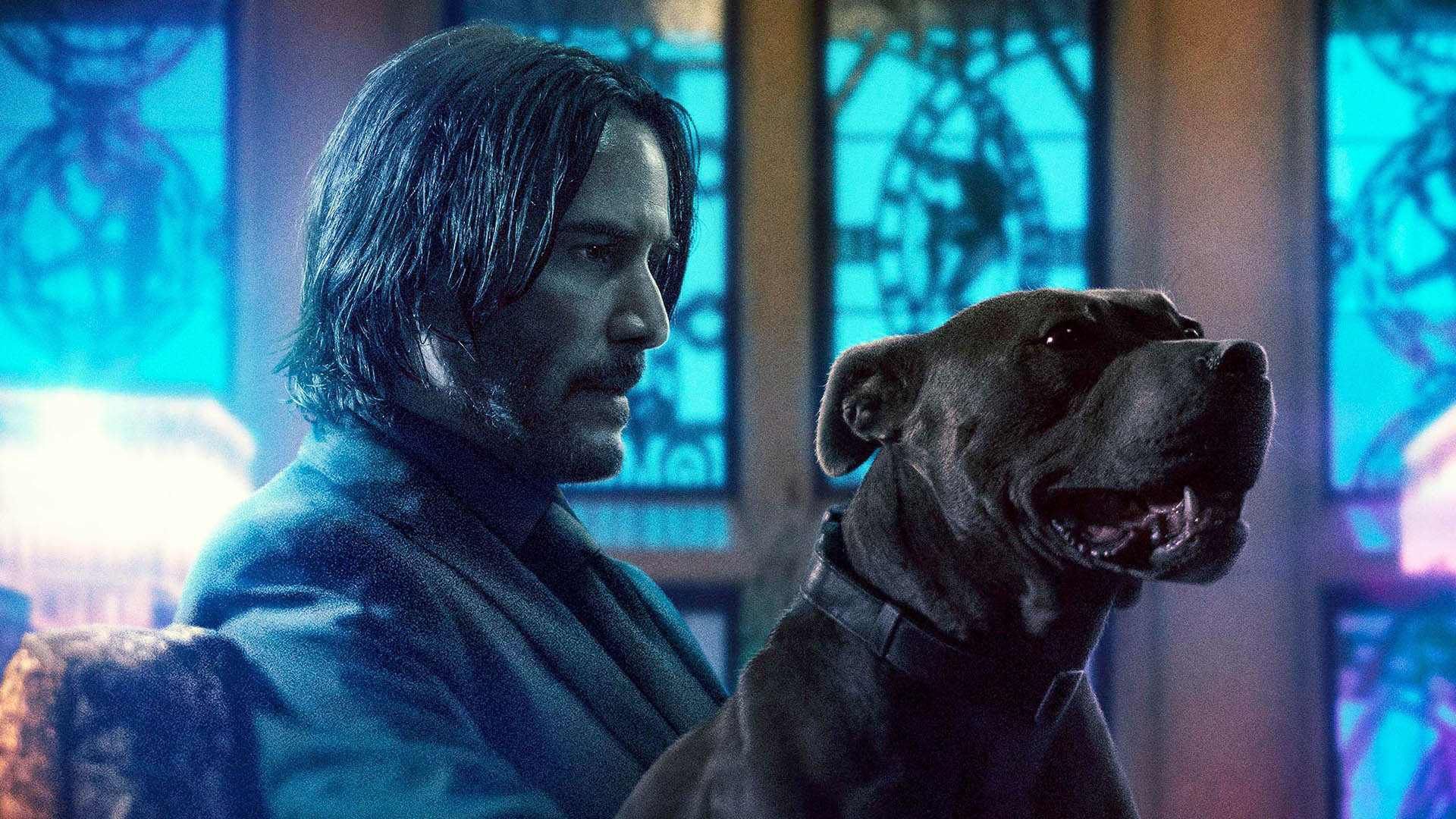 2021-2-john-wick-and-his-dog