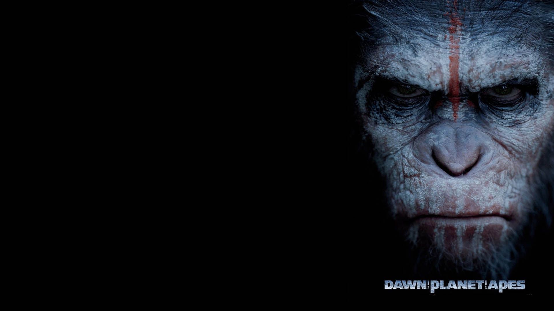 کاور فیلم dawn of the planet of the apes