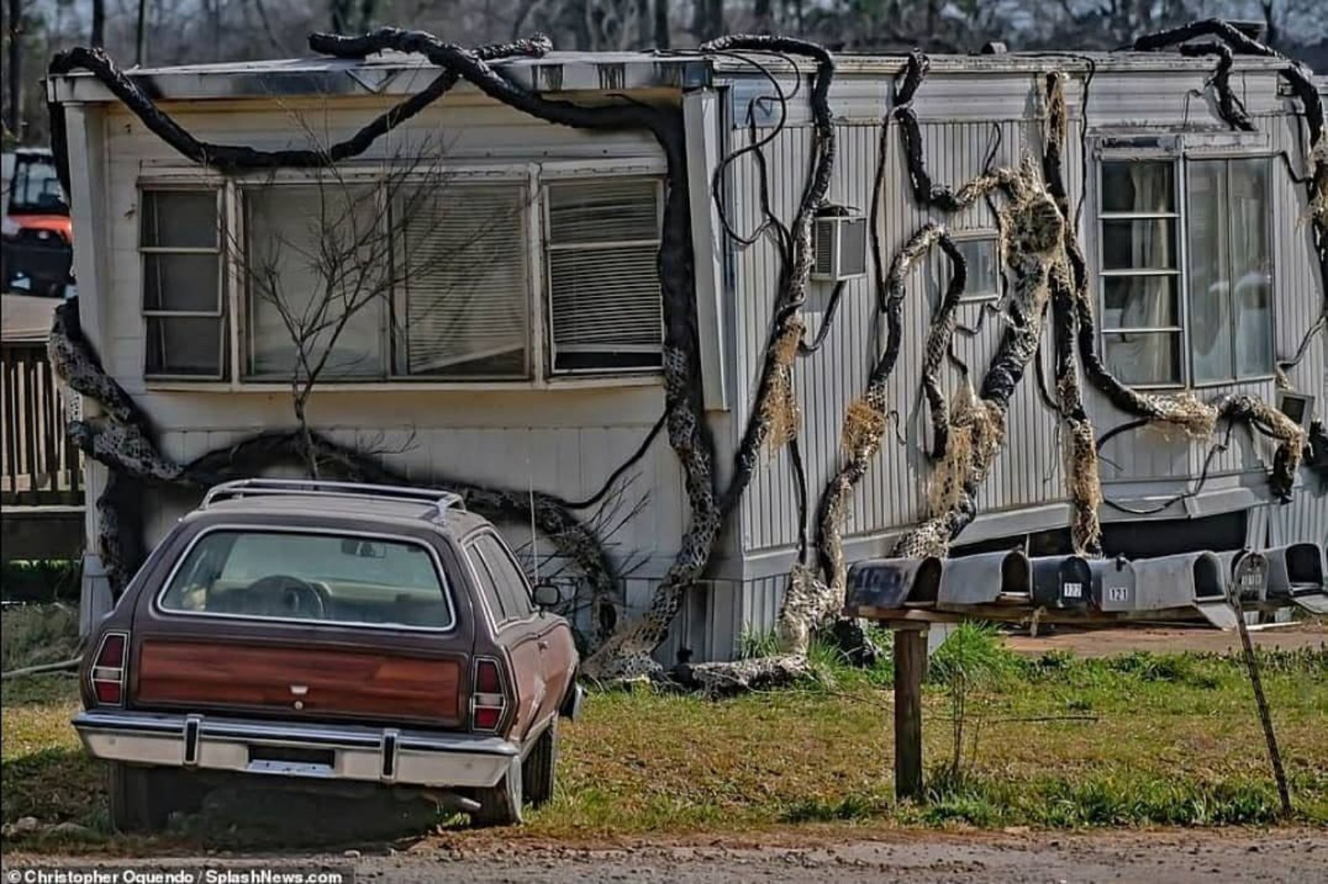 2021-3-leaked-stranger-things-season-4-photos-suggest-dark-times-ahead-09