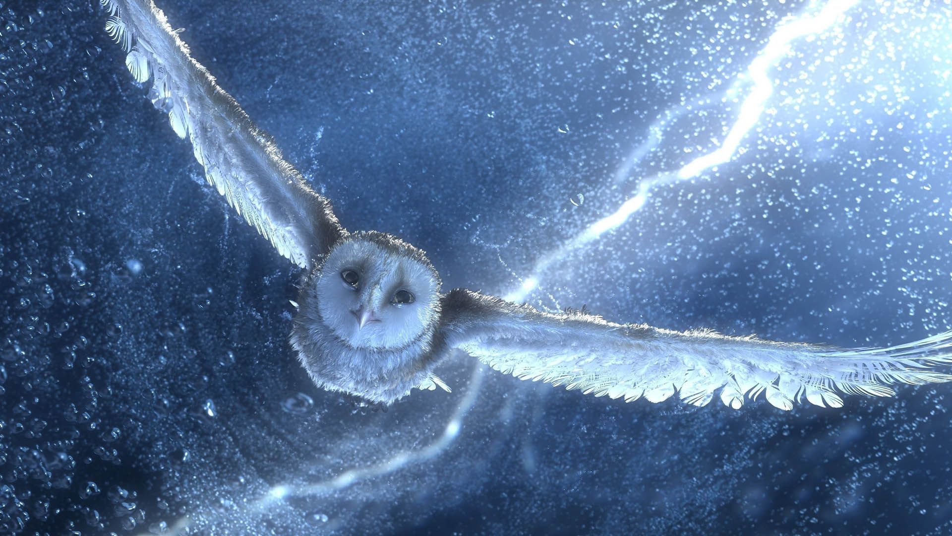 2021-3-owl-of-harry-in-hp-movies