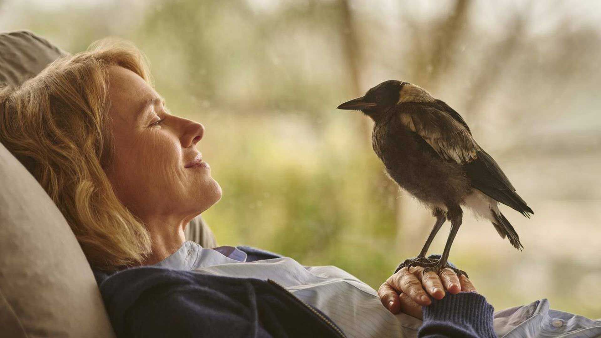 لبخند نائومی واتس، بازیگر معروف مشغول نگاه کردن به پرنده وحشی در فیلم Penguin Bloom