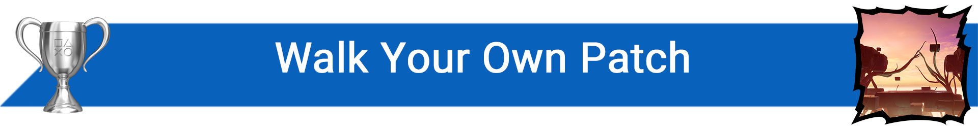 2021-3-walk-your-own-patch