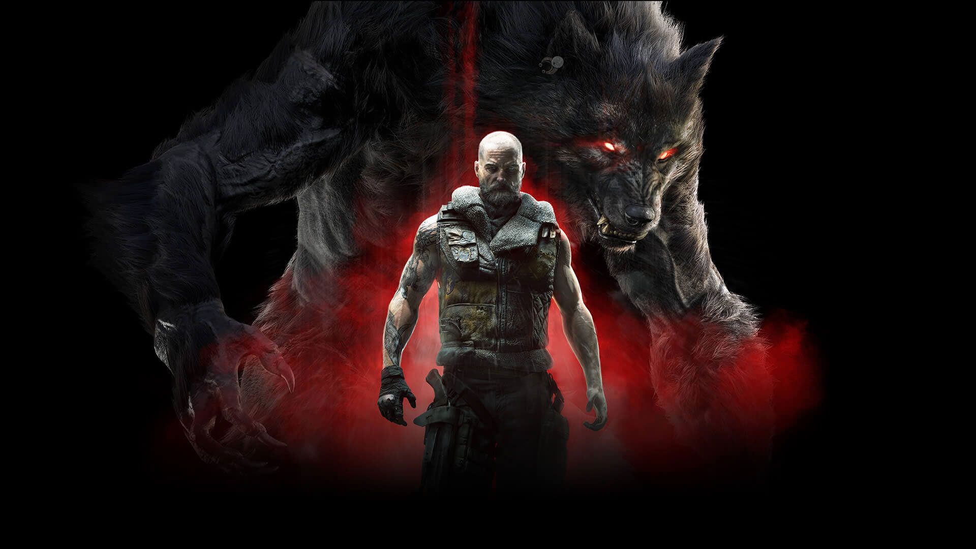 کاهال در بازی Werewolf The Apocalypse Werewolf