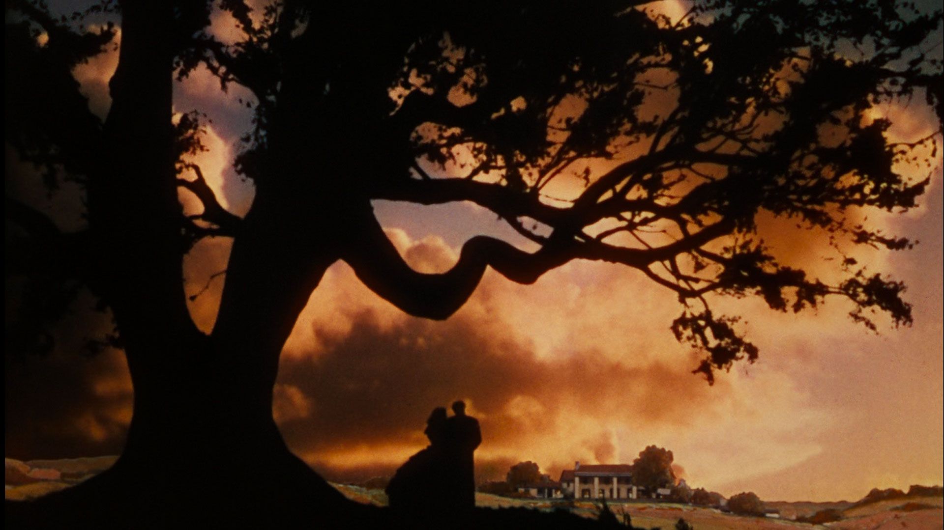 فیلم Gone with the Wind و درخت بزرگ و ابرها