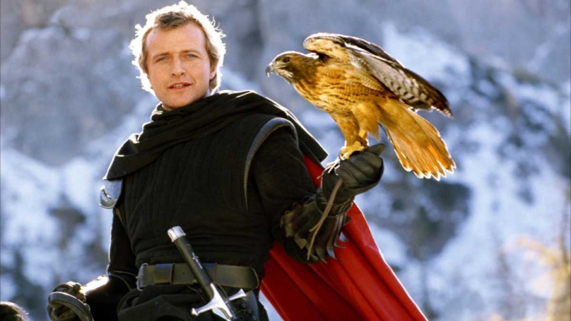 پرنده شکاری نشسته روی دست مرد در فیلم Ladyhawke
