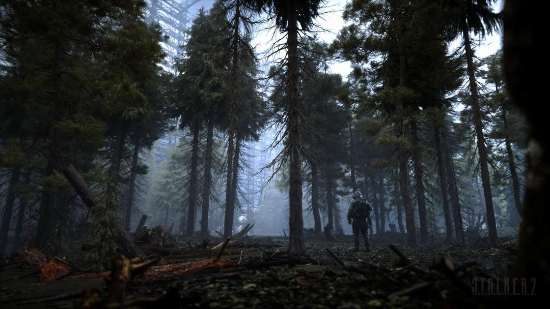 جنگل بازی S.T.A.L.K.E.R. 2