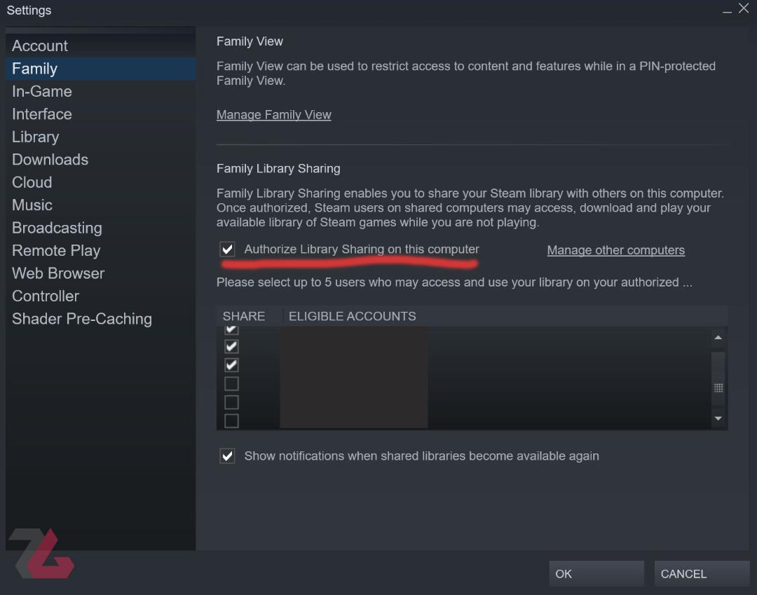 2021-5-steam-family-share