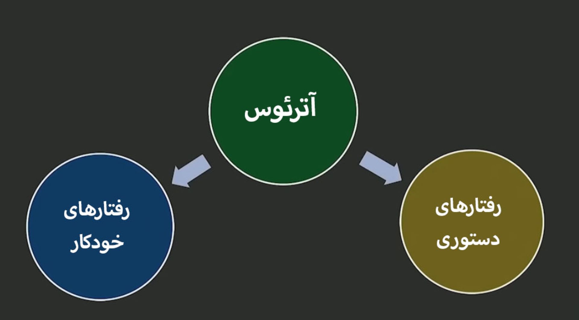 نمودار رفتاری آترئوس