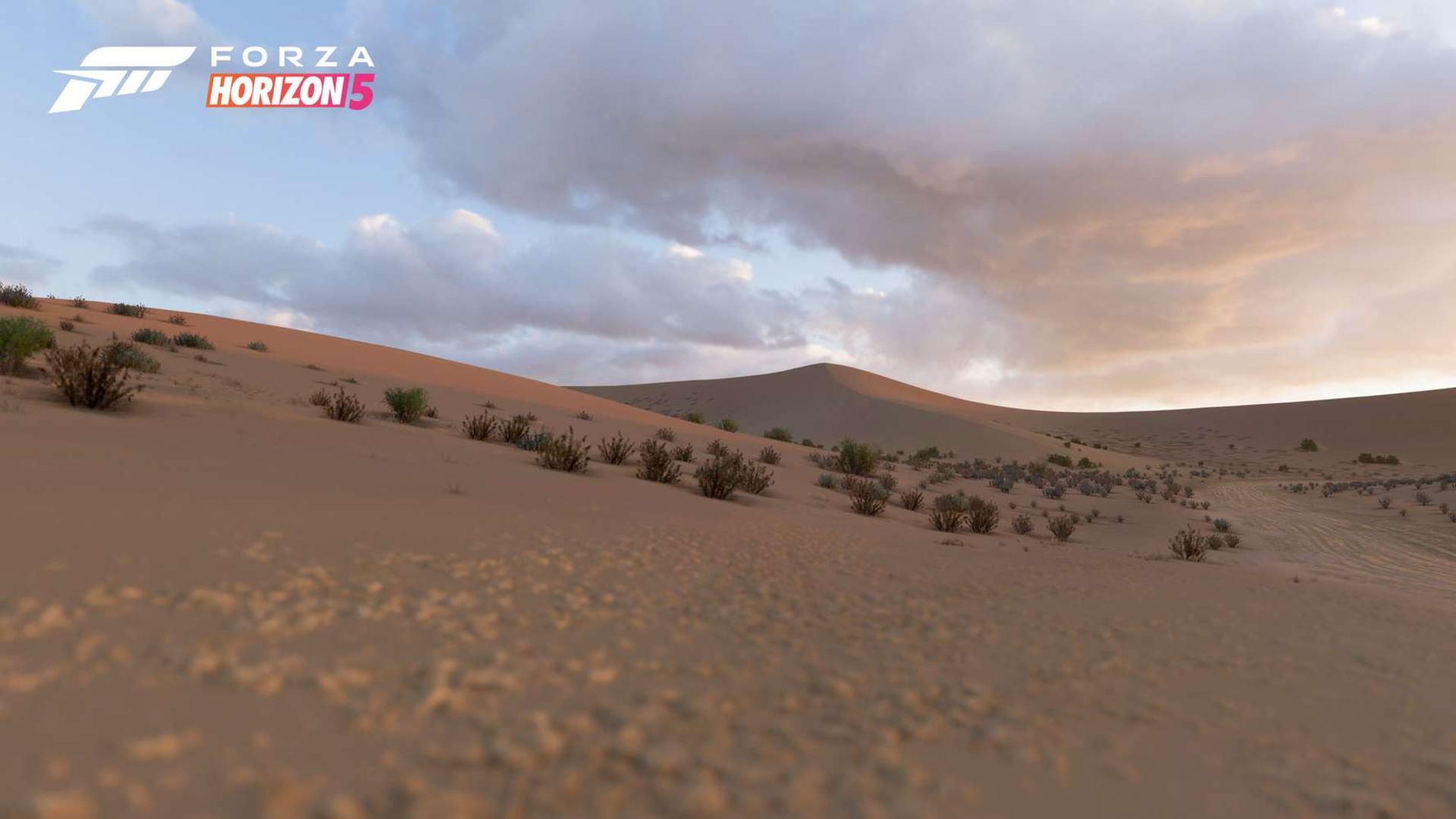 محیط کویری بازی Forza Horizon 5