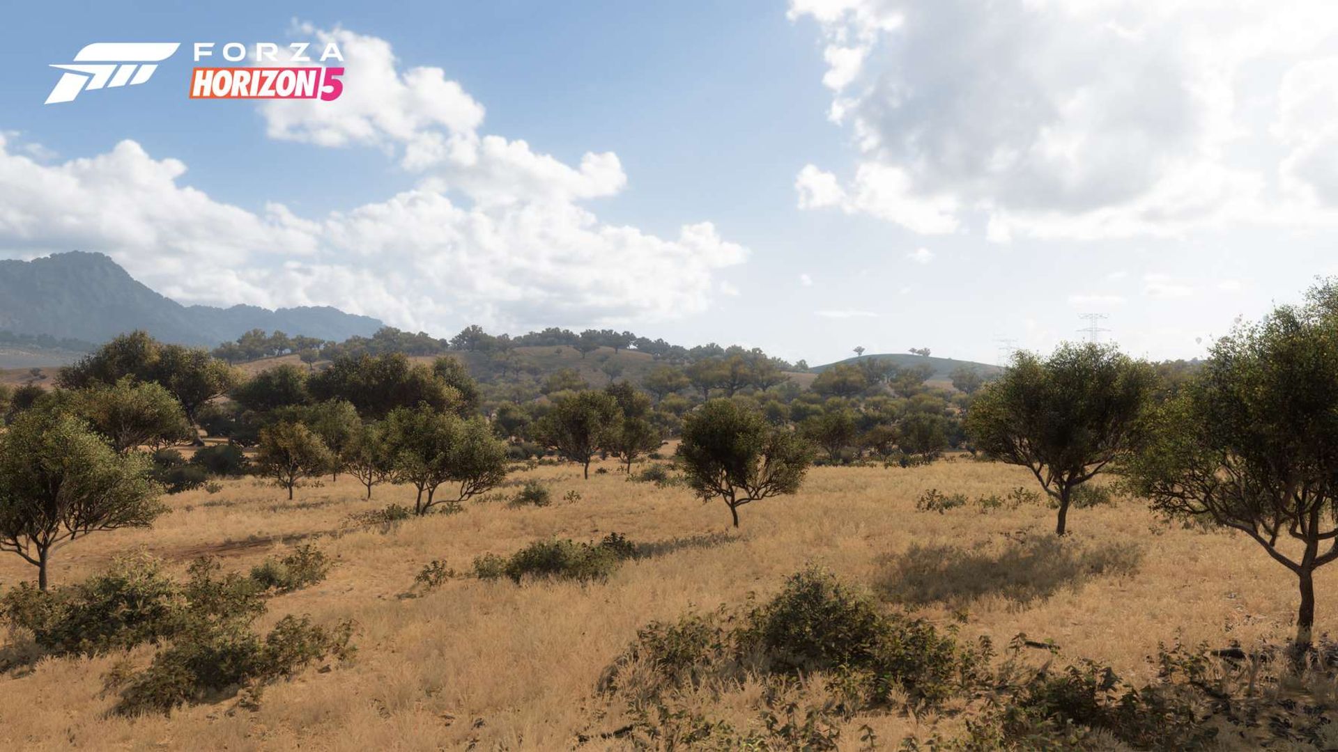 محیط خشک بازی Forza Horizon 5