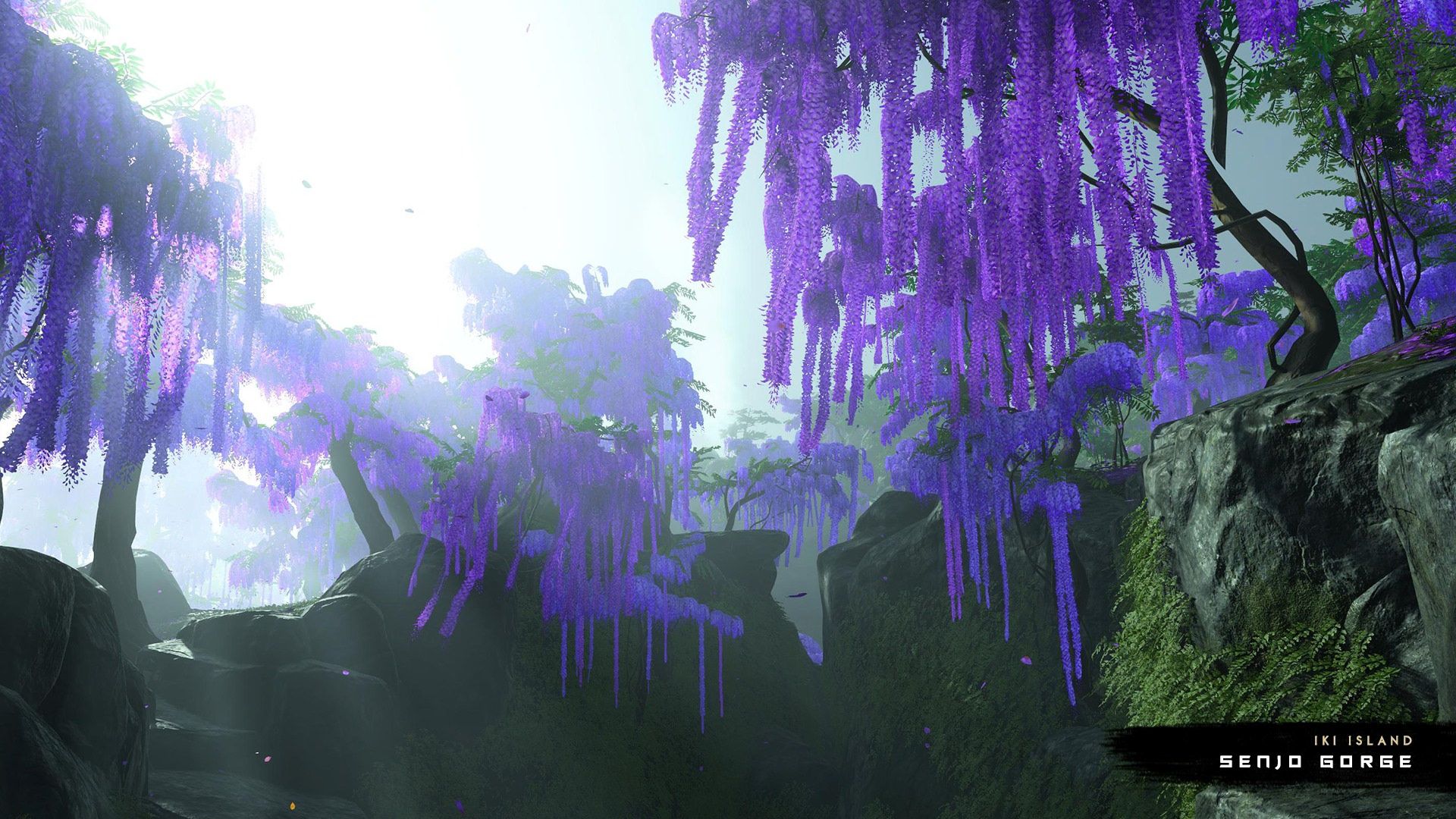 2021-7-ghostoftsushima-iki-island-(8)