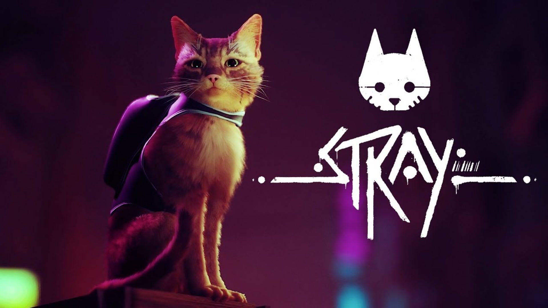 بازی Stray پلی استیشن و PC