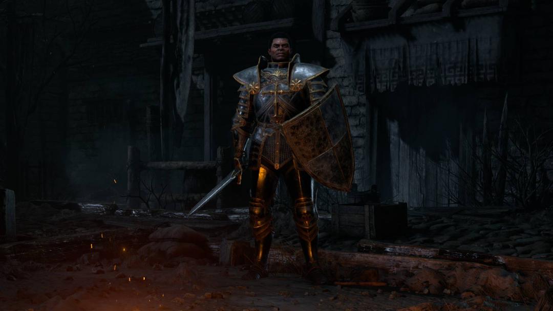 تصویر شخصیت قابل بازی Paladin در بازی Diablo 2: Resurrected