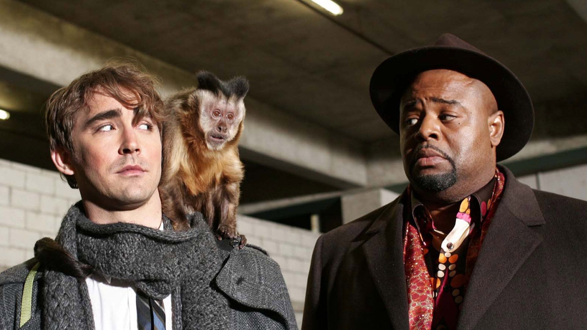 لی پیس در سریال Pushing Daisies