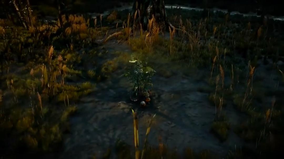 witcher 3 zero zero zero bug