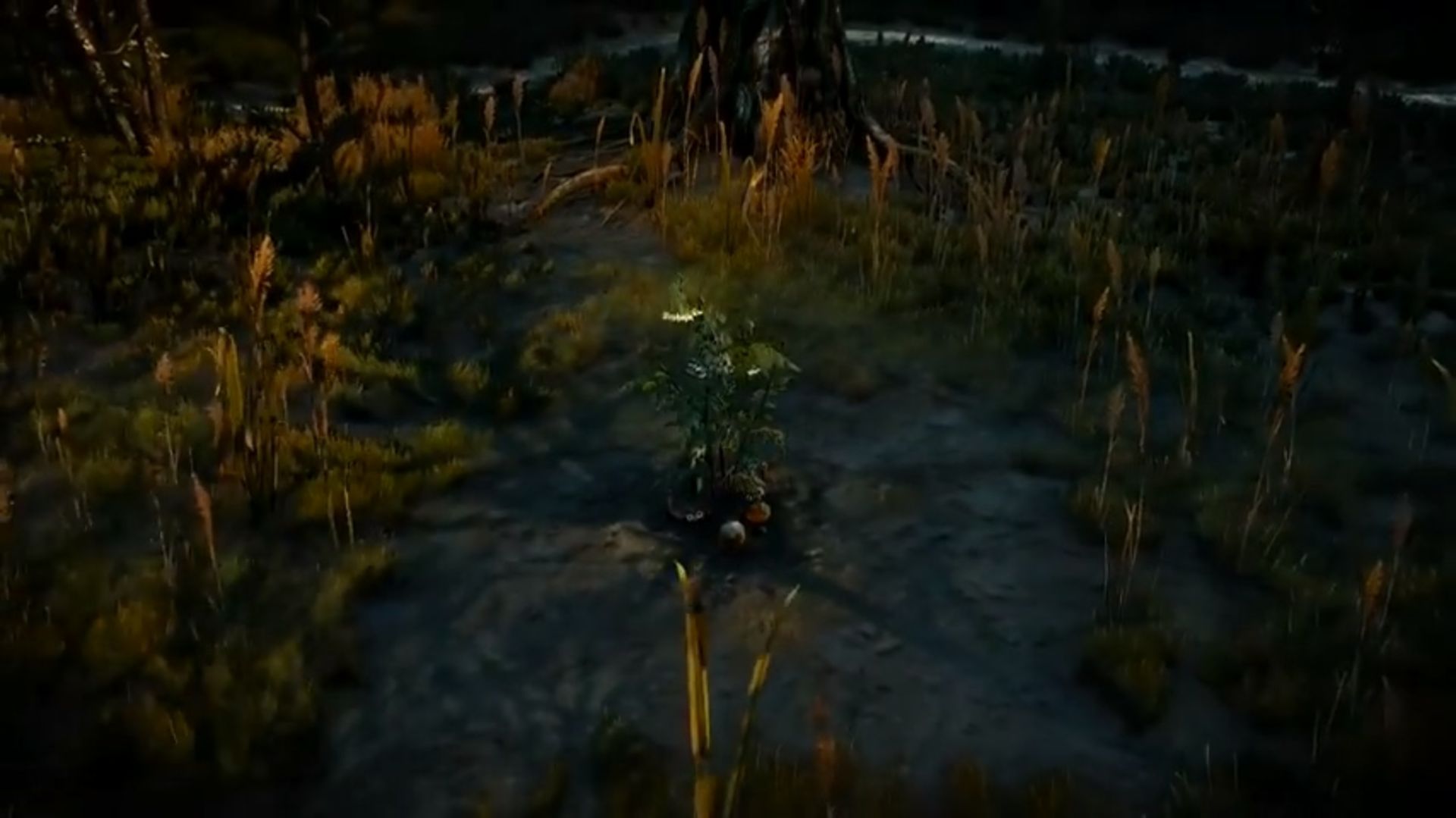witcher 3 zero zero zero bug