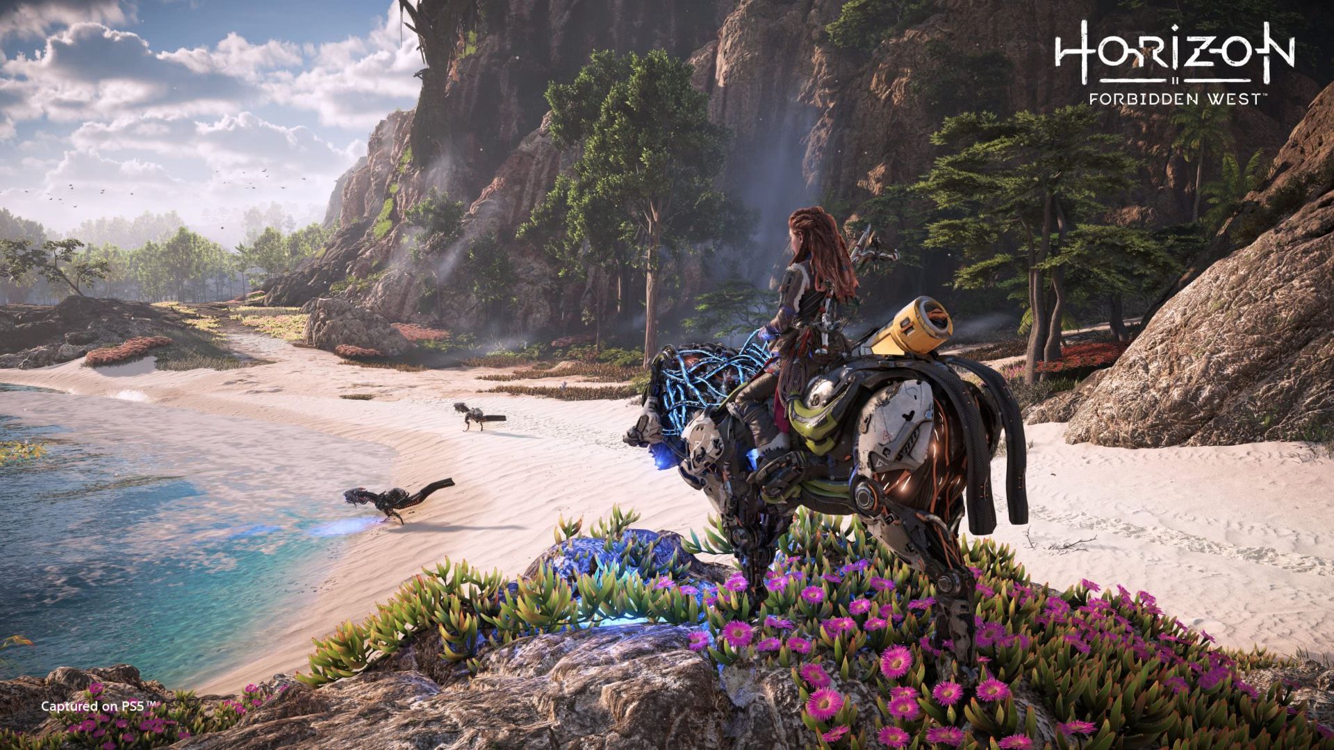 الوی در ساحل بازی Horizon Forbidden West