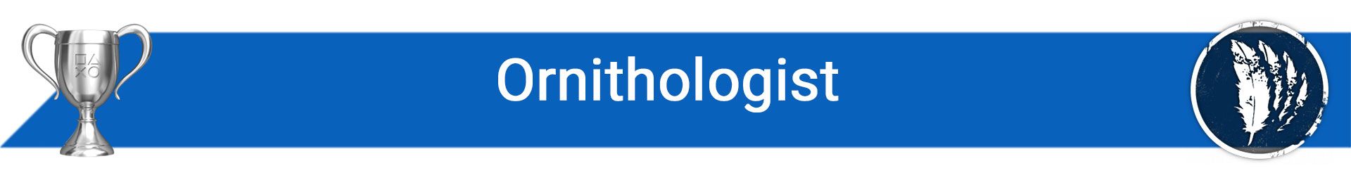 2022-12-ornithologist